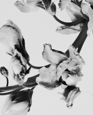 Decorative flower
